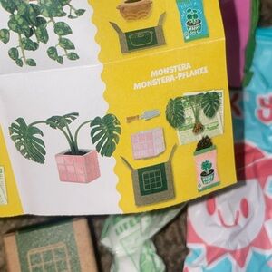 Mini Verse: Monstera